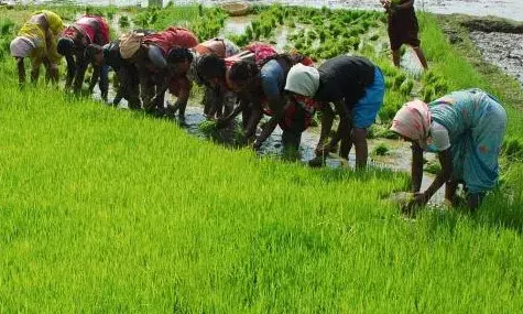 ஜூன் 12ல் தண்ணீர் திறப்பு: மகிழ்ச்சியில் கடலூர் மாவட்ட விவசாயிகள்