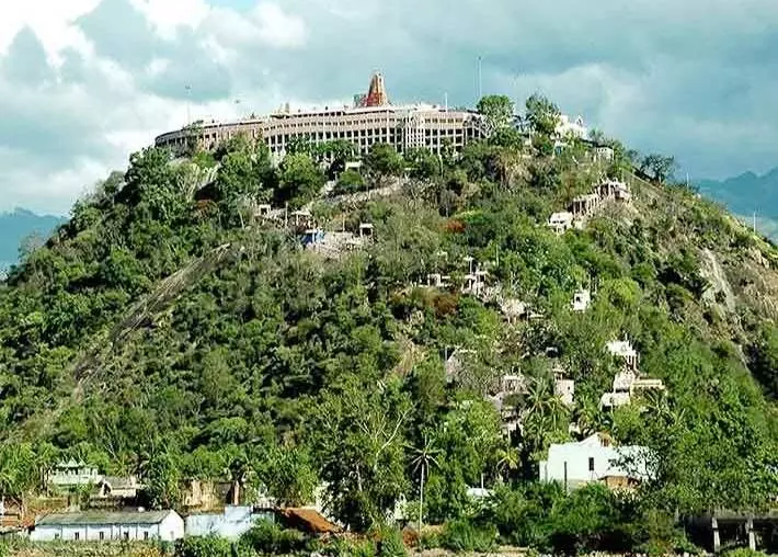 பழனி முருகன் கோயிலில் பக்தர்கள் சுவாமி தரிசனம் பழனி முருகன் கோயிலில் பக்தர்கள் சுவாமி தரிசனம்