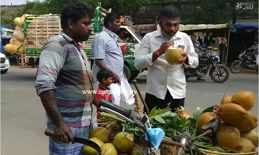 பிளாஸ்டிக் ஸ்ட்ராவுக்கு பதில் பப்பாளி ஸ்ட்ரா! பிளாஸ்டிக் ஸ்ட்ராவுக்கு பதில் பப்பாளி ஸ்ட்ரா!