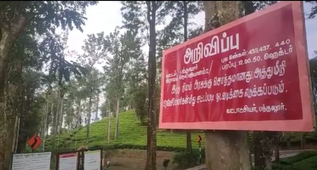 குத்தகை செலுத்தாத தேயிலை தோட்டம் கையகப்படுத்தல் குத்தகை செலுத்தாத தேயிலை தோட்டம் கையகப்படுத்தல்