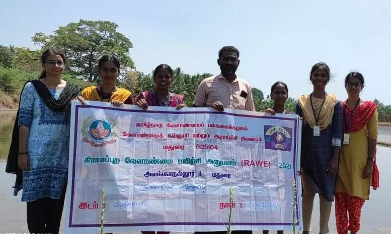 நேரடி நெல் விதைப்பில் மதுரை விவசாய கல்லூரி மாணவிகள் நேரடி நெல் விதைப்பில் மதுரை விவசாய கல்லூரி மாணவிகள்
