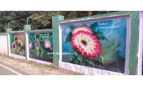 சுற்றுலா பயணிகளை கவர்ந்துள்ள சுவர் ஓவியங்கள்
