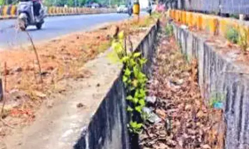 சாக்கடை கால்வாயை தூர்வார பொதுமக்கள் கோரிக்கை