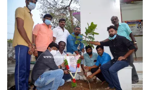 கலாம் விவேக் - மரக்கன்று நடும் நிகழ்ச்சி