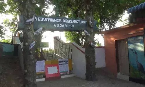 வேடந்தாங்கல்  பறவைகள் சரணாலயம் கொரோனா காரணமாக மூடல்