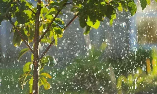 குமாரபாளையத்தில் அதிகபட்ச  மழை பதிவு