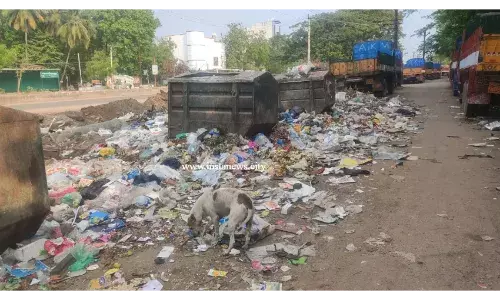சாலையில் சிதறி கிடக்கும் குப்பைகள்- பொதுமக்கள் அச்சம்