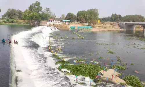 கொடிவேரி தடுப்பணையில் இருந்து பாசனத்திற்கு தண்ணீர் திறப்பு