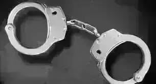 கடையத்தில் கள் விற்ற இருவர் கைது