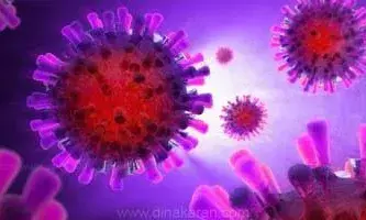 திருவள்ளூரில் 1385 பேருக்கு கொரோனா - 5 பேர் பலி