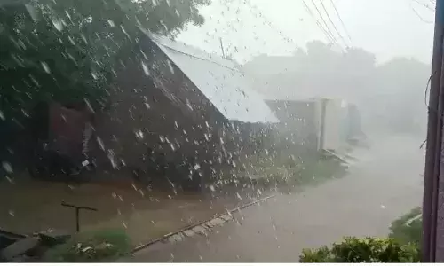 ஆலங்காயம் பகுதியில் கோடை மழை