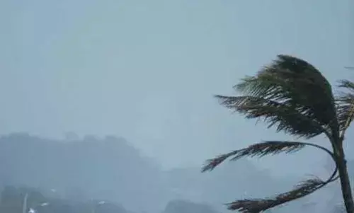 அரபிக்கடலில் உருவானது டவ்தே புயல்.