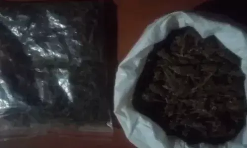 திருவள்ளூர் சிப்காட் தொழிற்பேட்டையில் கஞ்சா கடத்திய வாலிபர் கைது!
