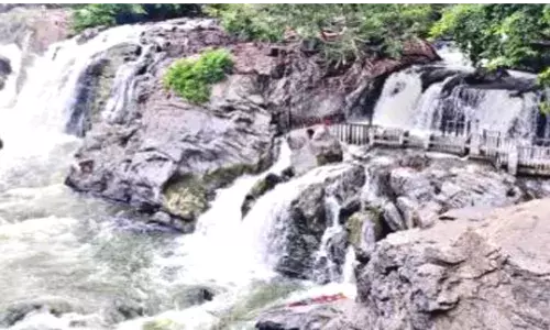 ஒகேனக்கல்லுக்கு நீர் வரத்து அதிகரிப்பு! ஒகேனக்கல்லுக்கு நீர் வரத்து அதிகரிப்பு!