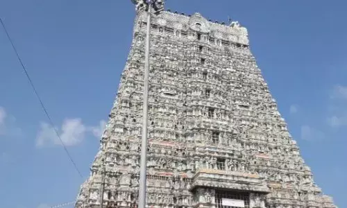 சிவாலய கோபுரத்தில் 800 சிலைகள்.