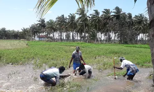 தென்காசி-அதிகாரிகள் அலட்சியம்-கார்சாகுபடி பாதிக்கும் அபாயம்-விவசாயிகள் கவலை