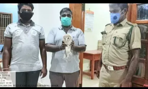 மயிலாடுதுறை அருகே காகங்களிடம் சிக்கி தவித்த வெள்ளை நிற ஆஸ்திரேலிய ஆந்தை : மீட்ட வனத்துறையினர்