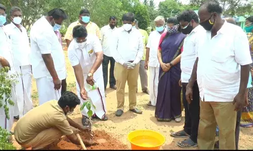 நாட்றம்பள்ளியில் கருணாநிதியின் பிறந்தநாளில் எம்எல்ஏ  தேவராஜ் மரக்கன்றுகளை நட்டார்