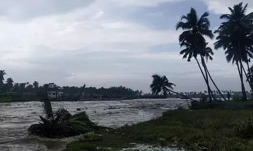 வேரோடு சாய்ந்து விழும் நிலையில் மரங்கள் - பாதிப்பு ஏற்படும் முன் நடவடிக்கை எடுக்க கோரிக்கை.