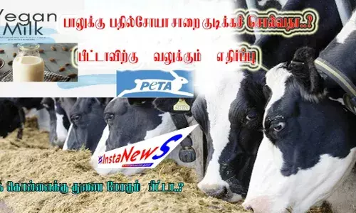 பாலுக்குப் பதில் சோயா சாறை குடிக்கச் சொல்வதா..? பீட்டாவிற்கு வலுக்கும் எதிர்ப்பு