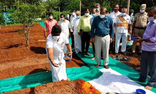 ஏலகிரி குறுங்காடுகளில் விதைகள் தூவும் விழா: தேவராஜ் எம்எல்ஏ தொடங்கி வைத்தார்