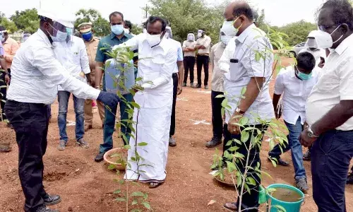 உலக சுற்றுச்சூழல் தினம்: ஈரோட்டில்  21ஆயிரம் மரக்கன்று நடும் திட்டம் துவக்கிவைப்பு