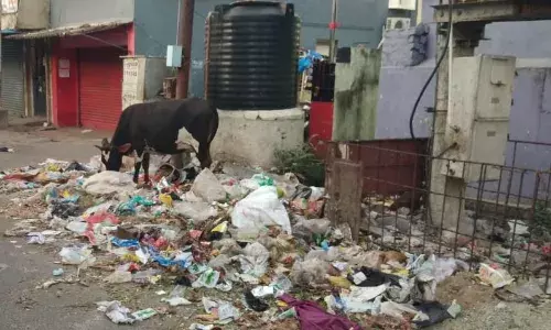 சேகரிக்க தனி இடம் இல்லை..! குப்பைக்காடாக மாறும் செங்கல்பட்டு நகராட்சி!!