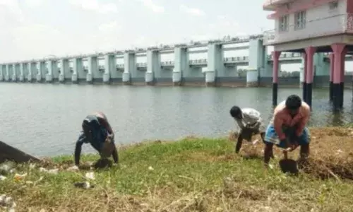 திருச்சி முக்கொம்பு அணையில்  பராமரிப்பு பணிகள்  தீவிரம்