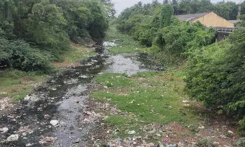 கழிவு நீரால் மாசடையும் வெண்ணாற்றின் கிளை நதியான வடவாறு கழிவு நீரால் மாசடையும் வெண்ணாற்றின் கிளை நதியான வடவாறு