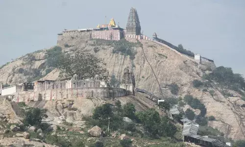 சோளிங்கர் கோயிலில் ஒரு வருடத்தில் ரோப்கார் சேவை:அமைச்சர் சேகர் பாபு