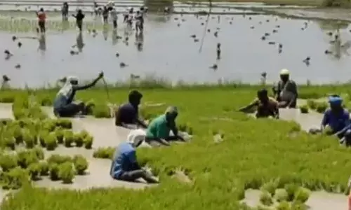 திருவள்ளுர்: ஜெகநாதபுரம் கிராமத்தில் வேளாண்துறையின் இலவச கோடை உழவு திட்டம்!