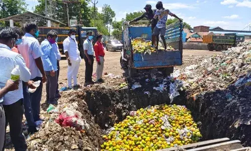 ரசாயனம் தெளிக்கப்பட்ட 4 ஆயிரம் கிலோ மாம்பழங்கள் பறிமுதல்- அரியமங்கலம் குப்பை கிடங்கில் அழிக்கப்பட்டது