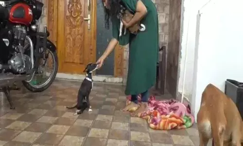 எங்க ஊரு ஹீரோயின் - வாயில்லா ஜீவன்களுக்கு வாழ்வு அளிக்கும் பட்டதாரி பெண்மணி