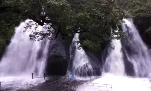 மேற்கு தொடர்ச்சி மலை பகுதிகளில் தொடர் மழை- குற்றால அருவிகளில் வெள்ளப்பெருக்கு
