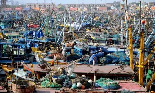 தமிழகத்தில் மீன்பிடி தடைக்காலம் இன்று நள்ளிரவுடன் நிறைவு: மீனவர்கள் உற்சாகம்!