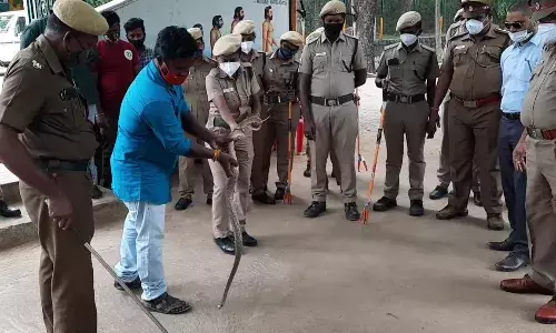 சேலம்: வனப்பணியாளர்களுக்கு பாம்பு பிடிப்பது குறித்த பயிற்சி!