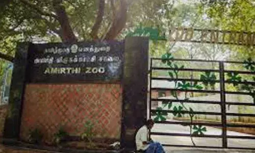 அமிர்தி பூங்காவில் விலங்குகளுக்கு பரிசோதனை