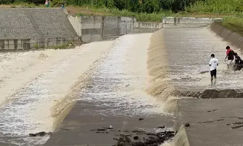 பருவமழை தீவிரம் - சித்திரைச்சாவடி அணையில் வெள்ளப் பெருக்கு
