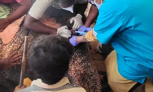 மதுரை மீனாட்சியம்மன் கோவில் யானைக்கு கண் நோய்: தீவிர சிகிச்சை அளிக்கும் மருத்துவர்கள்