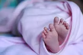 செஞ்சி அருகே குடிநீர் கிணற்றில் குழந்தையின் சடலம் செஞ்சி அருகே குடிநீர் கிணற்றில் குழந்தையின் சடலம்