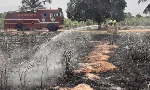 கந்தர்வக்கோட்டை அருகே அடுத்தடுத்து தீ விபத்து :  போராடி அணைத்த தீயணைப்பு வீரர்கள்