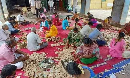 சிதம்பரம் தில்லை காளியம்மன் கோவில் உண்டியல் எண்ணும் பணி