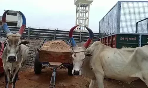மதுராந்தகம் கிளியாற்றில் மணல் அள்ளிய 3 மாட்டு வண்டிகள் பறிமுதல்