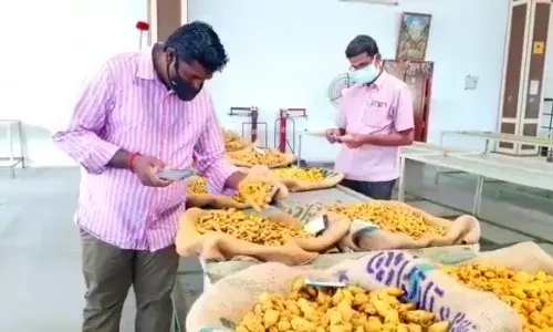 ஈரோட்டில் மஞ்சள் ஏலம் மீண்டும் துவக்கம் :  குவிண்டாலுக்கு 7,500 ரூபாய் வரை விற்பனை