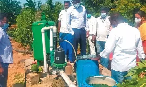 சங்கராபுரம் பகுதியில் தோட்டக்கலைதுறை திட்டங்கள்: கலெக்டர் ஸ்ரீதர் திடீர் ஆய்வு