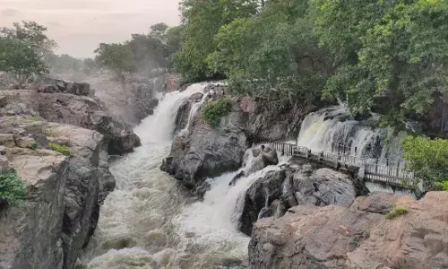 ஒகேனக்கல்லுக்கு நீர்வரத்து 8ஆயிரம் கனஅடியாக அதிகரிப்பு
