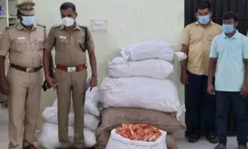 தாராபுரத்தில் ரூ.3.36 லட்சம் மதிப்புள்ள குட்கா, பான்மசாலா பறிமுதல்