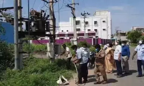 சேலம் மின்பகிர்மான வட்டத்தில் பராமரிப்பு பணிகள் தீவிரம்