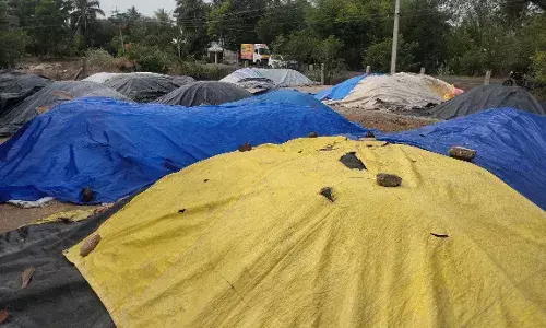 ஒரு நாளைக்கு ஆயிரம் மூட்டைகள் நெல் கொள்முதல் செய்ய விவசாயிகள் கோரிக்கை ஒரு நாளைக்கு ஆயிரம் மூட்டைகள் நெல் கொள்முதல் செய்ய விவசாயிகள் கோரிக்கை