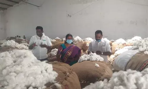 பாபநாசம் வேளாண்மை விற்பனை கூடத்தில் பருத்தி ஏலம்